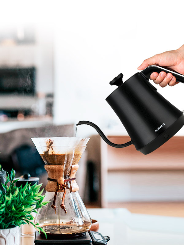 Electric Kettle DYKFH-01