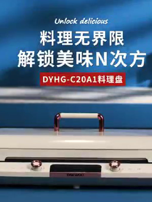 DYHG-C20A1